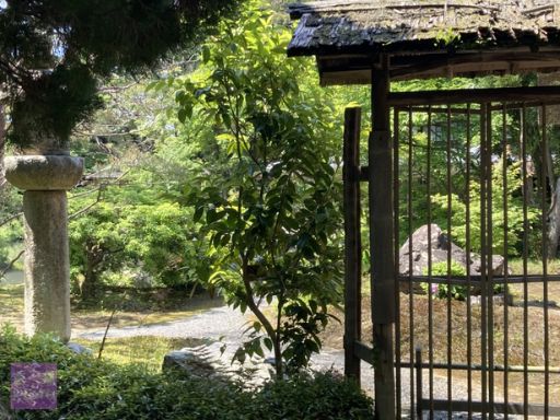 【白沙村荘】橋本関雪記念館庭園