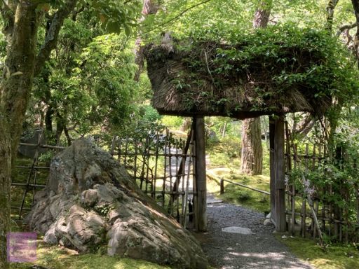 【白沙村荘】橋本関雪記念館庭園