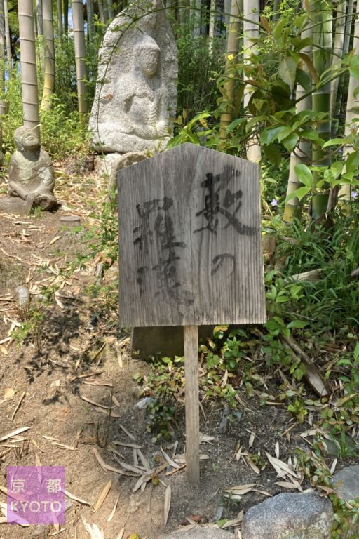 【白沙村荘】橋本関雪記念館庭園