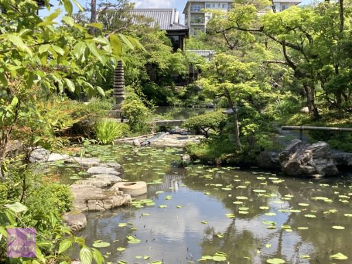 【白沙村荘】橋本関雪記念館庭園池