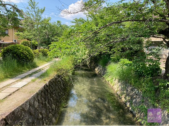 橋の北側