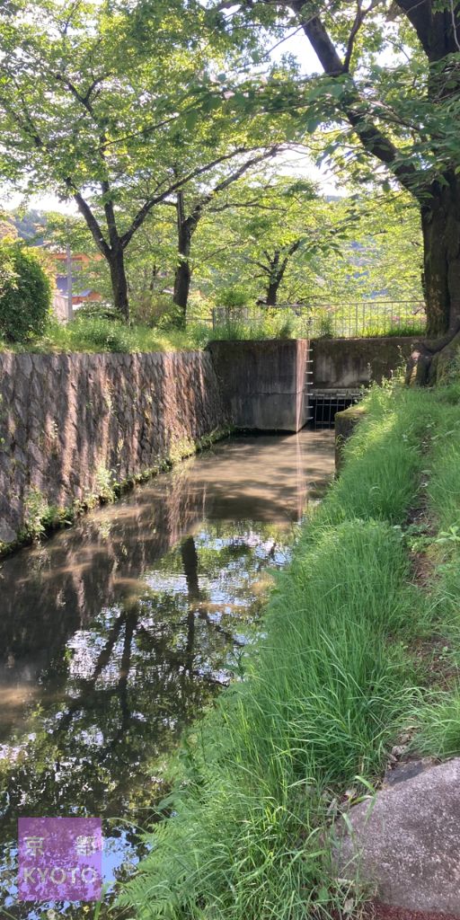 哲学の道浄土寺橋付近