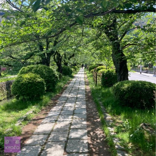 哲学の道西田橋から銀閣寺西橋方面