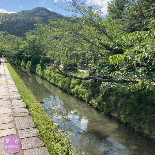 哲学の道銀閣寺交番裏手