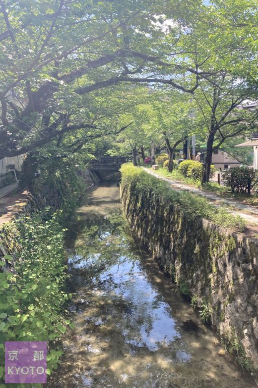 哲学の道銀閣寺橋より南方面