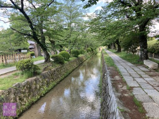 哲学の道銀閣寺西橋より西田橋方面