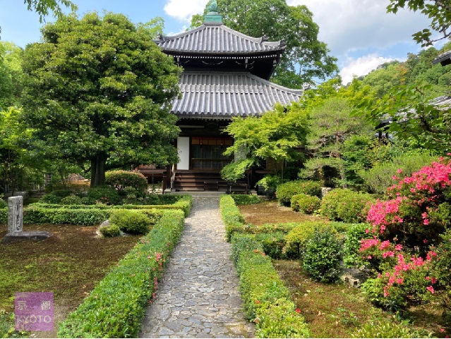 安楽寺庭園奥に本堂