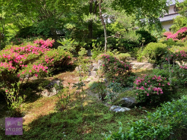 安楽寺庭園山門前から