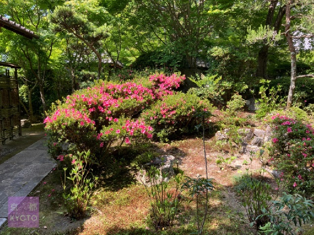 安楽寺庭園山門前から左