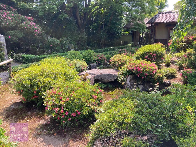 安楽寺庭園 奥は山門