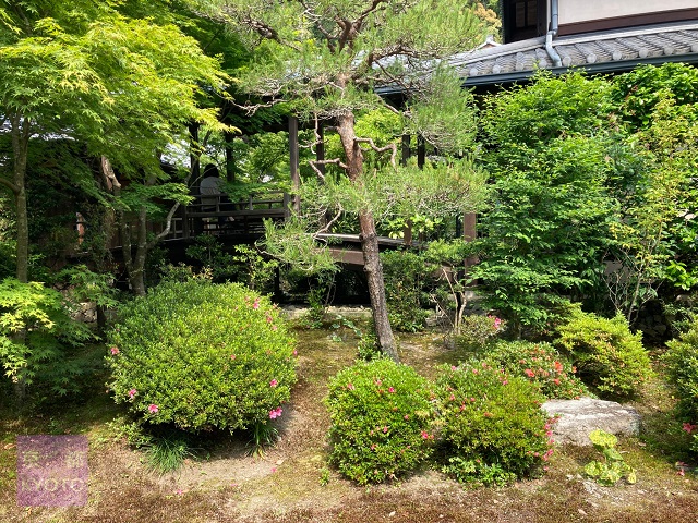 安楽寺庭園 右奥は客殿