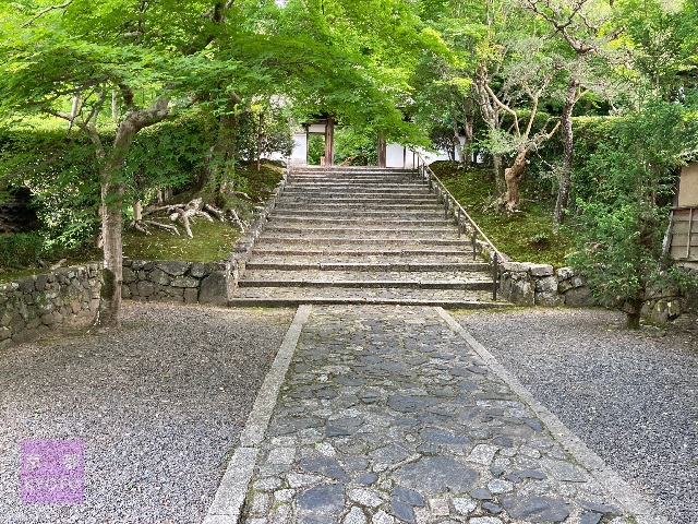 安楽寺山門石段下から