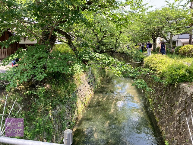 幸せ地蔵尊にかかる弥勒橋から南側方向