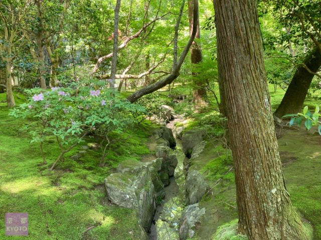 緑が鮮やかな庭園