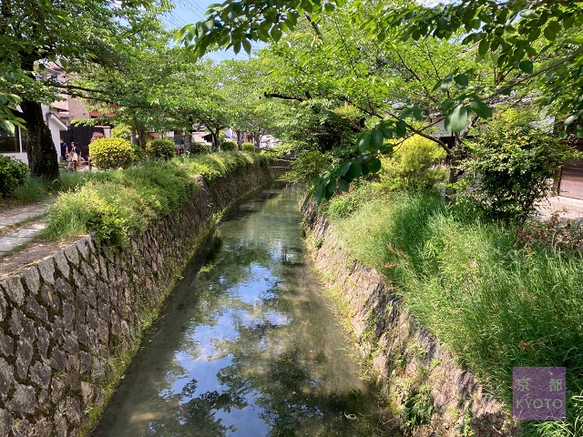 弥勒院次の橋から北側