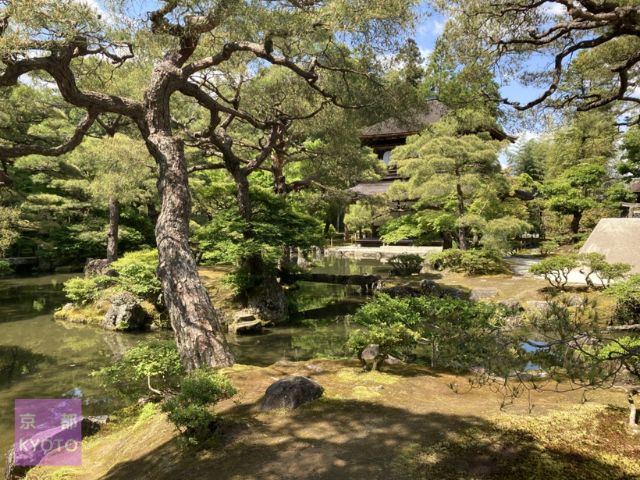 銀閣寺の庭園