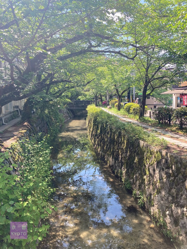 銀閣寺橋より南側