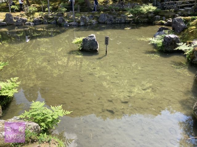 銀閣寺錦鏡池（きんきょうち）の大内石