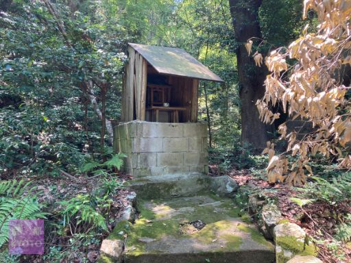 山神社