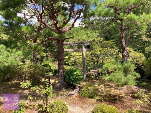 鎮守堂の鳥居