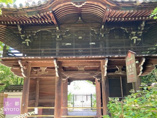 金地院・南禅寺塔頭寺院の見どころは？特別拝観の時間や最新拝観料