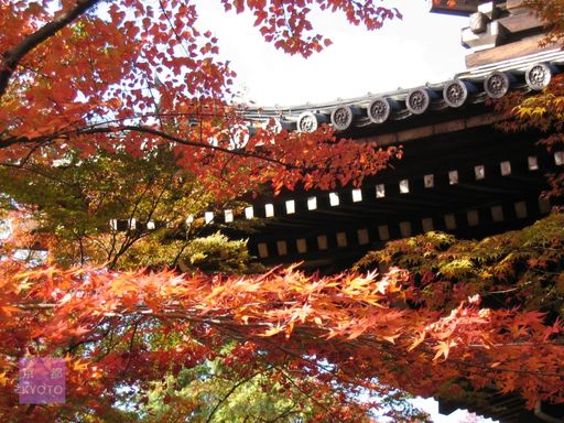 京都へ！旅行会社